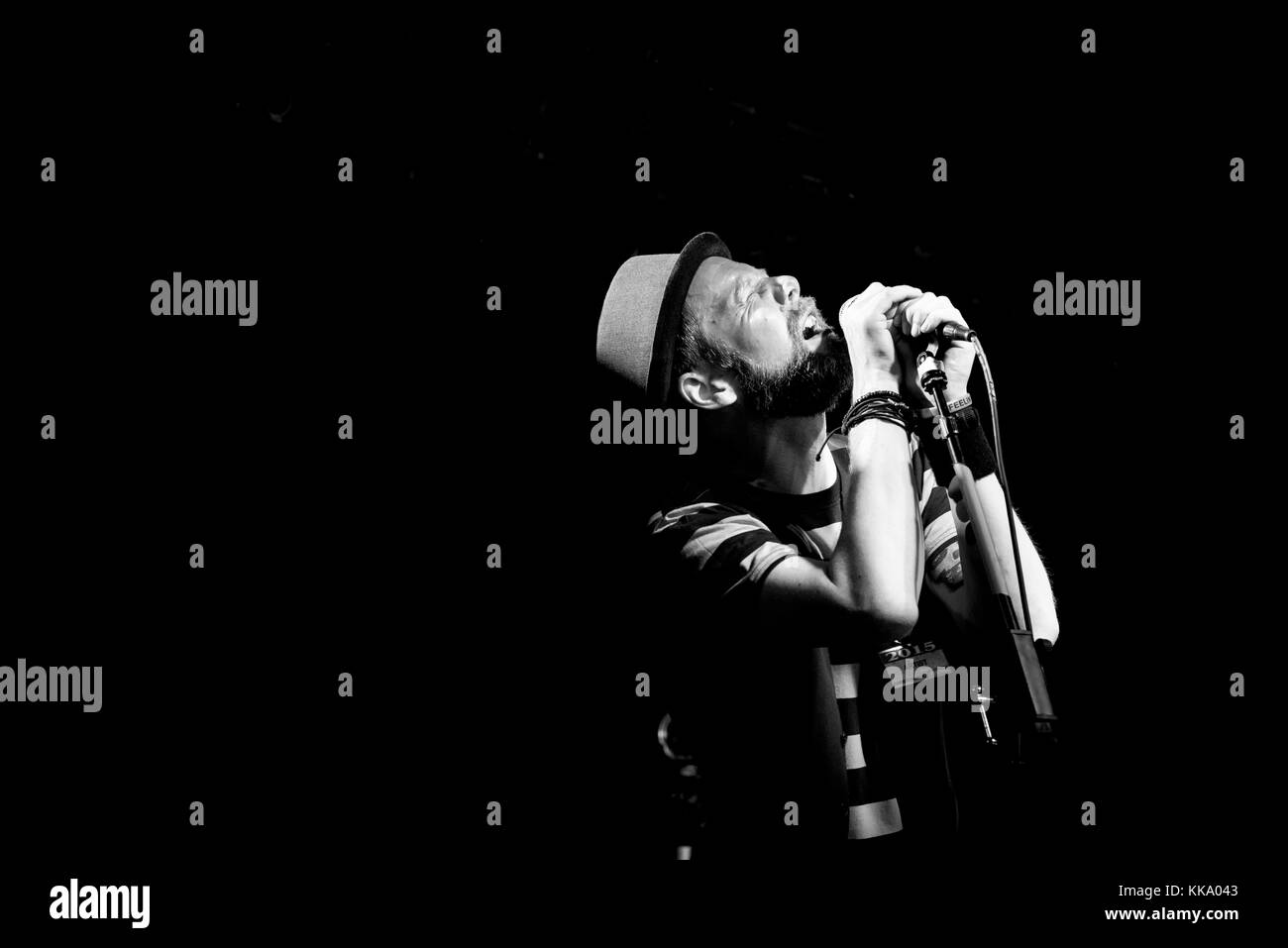 The Crash Landings performing at Christchurch Music Festival in 2015 Stock Photo Alamy