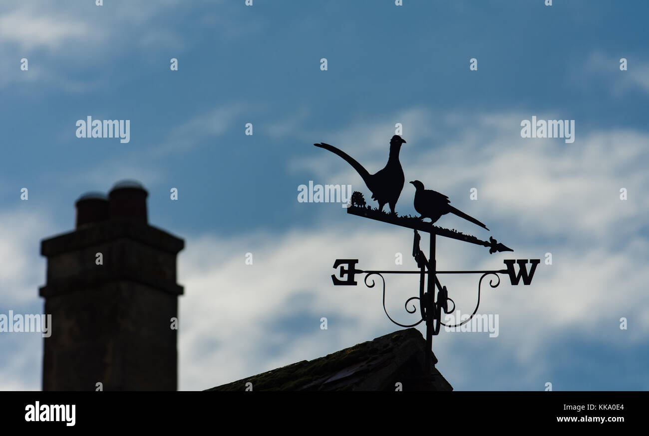 Traditional Cotswold wind vane Stock Photo