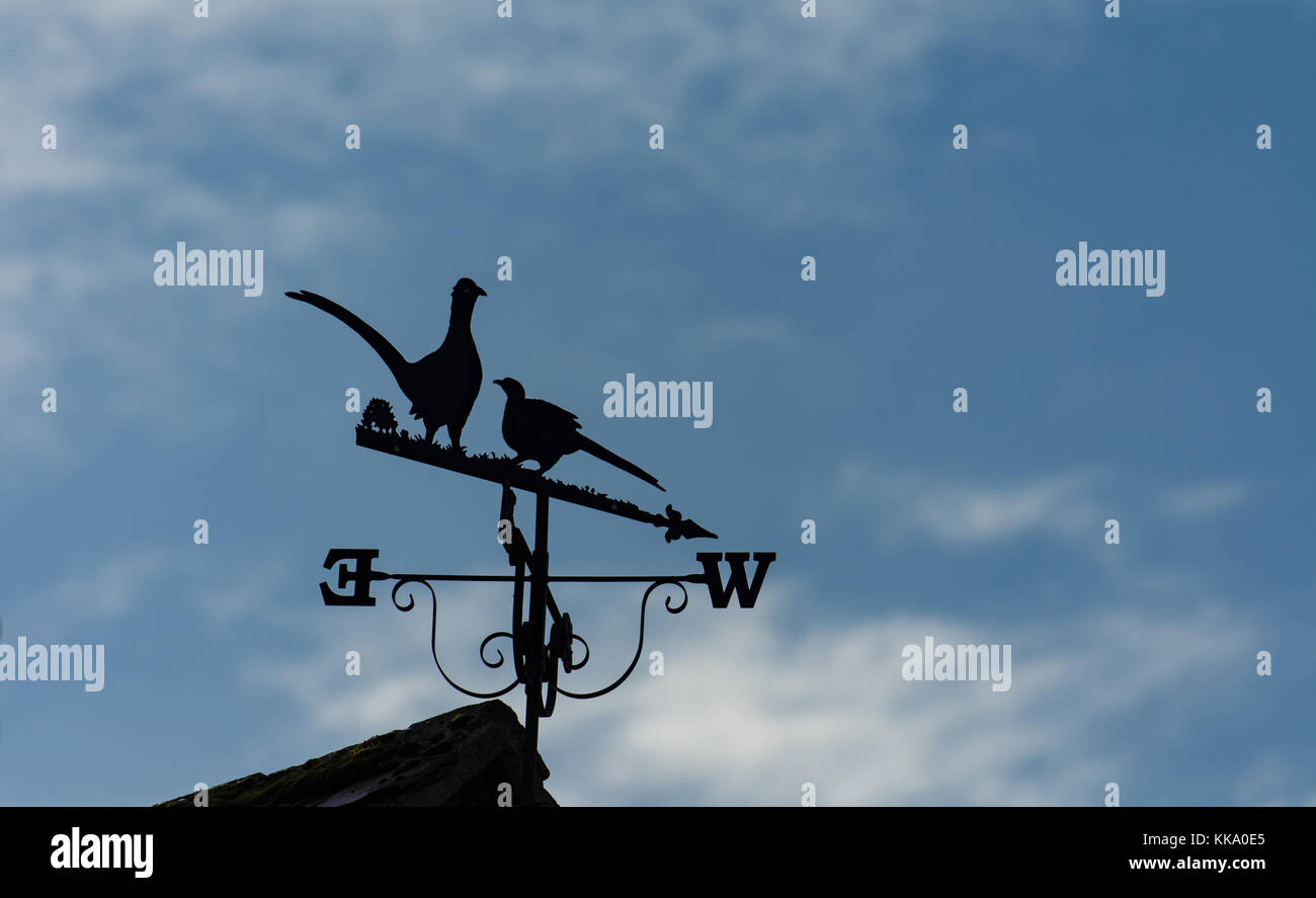 Traditional Cotswold wind vane Stock Photo