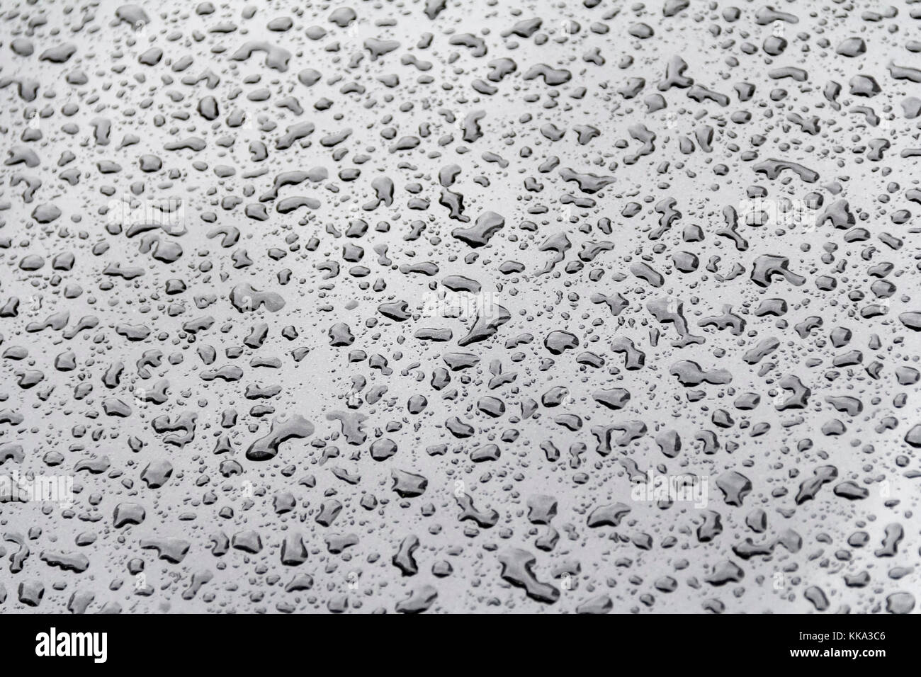abstract natural background showing a closeup of water beads on glossy repellent ground Stock Photo
