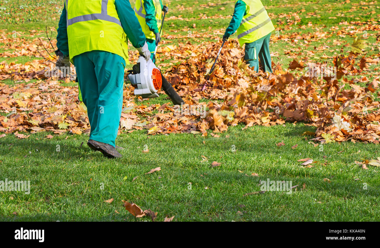 Workers cleaning fallen autumn leaves with a leaf blower Stock Photo