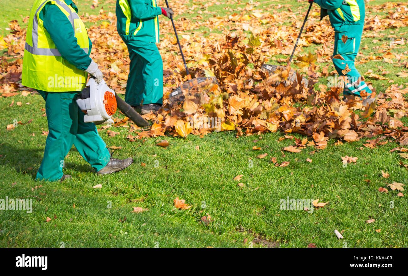 Workers cleaning fallen autumn leaves with a leaf blower Stock Photo