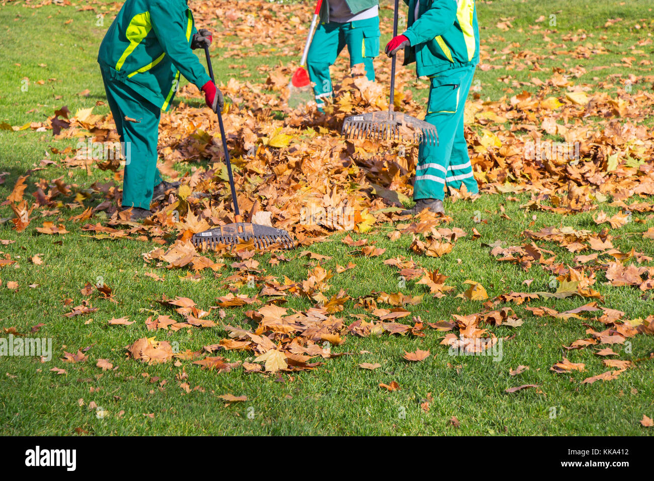 Workers cleaning fallen autumn leaves Stock Photo