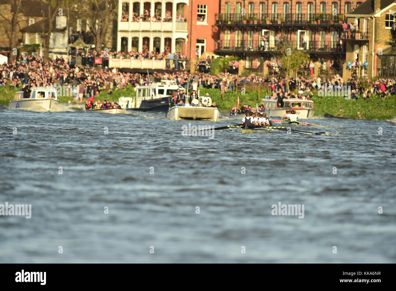 Boat Race Oxford v Cambridge Stock Photo Alamy