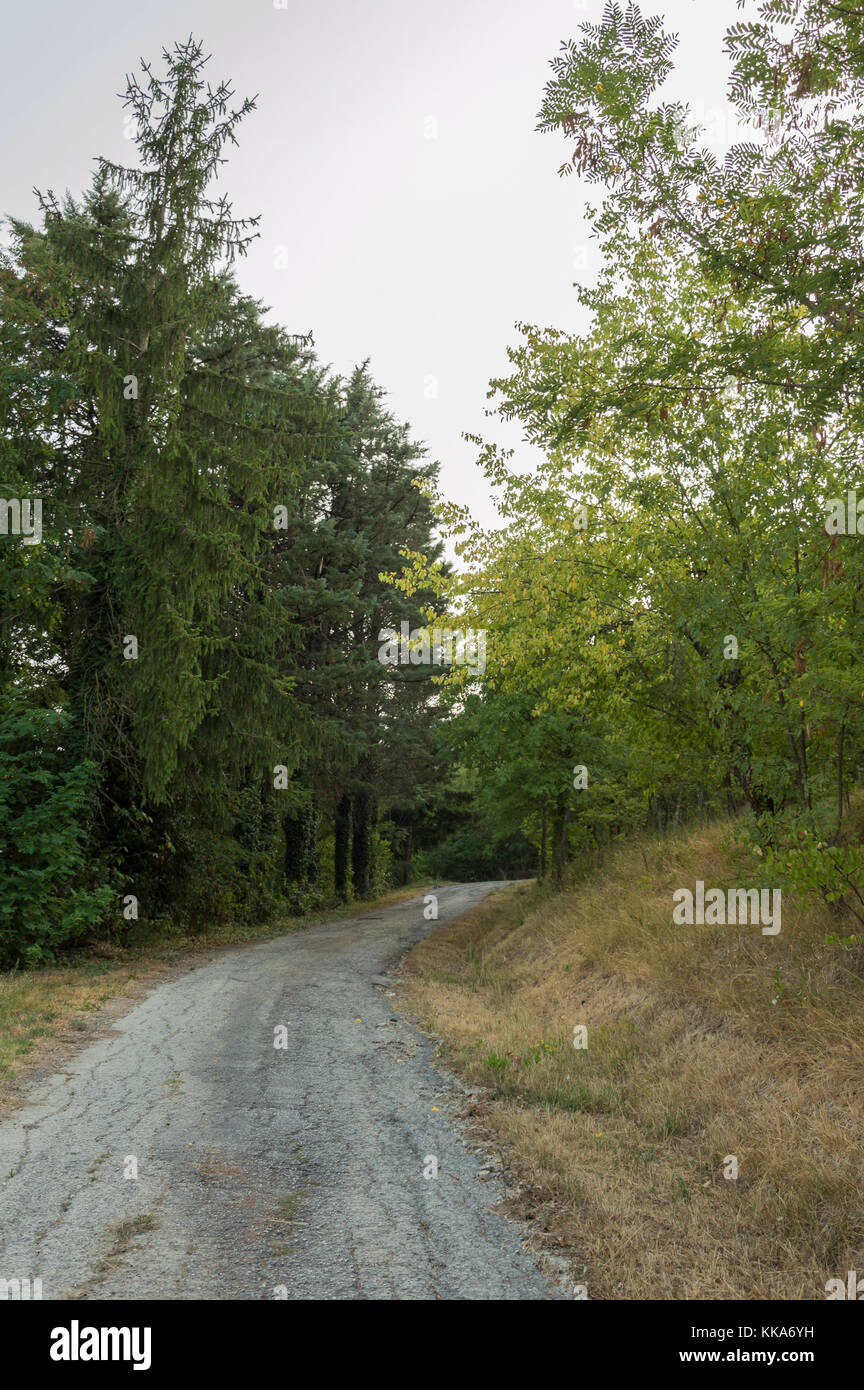 A pathway in a natural setting among hills Stock Photo