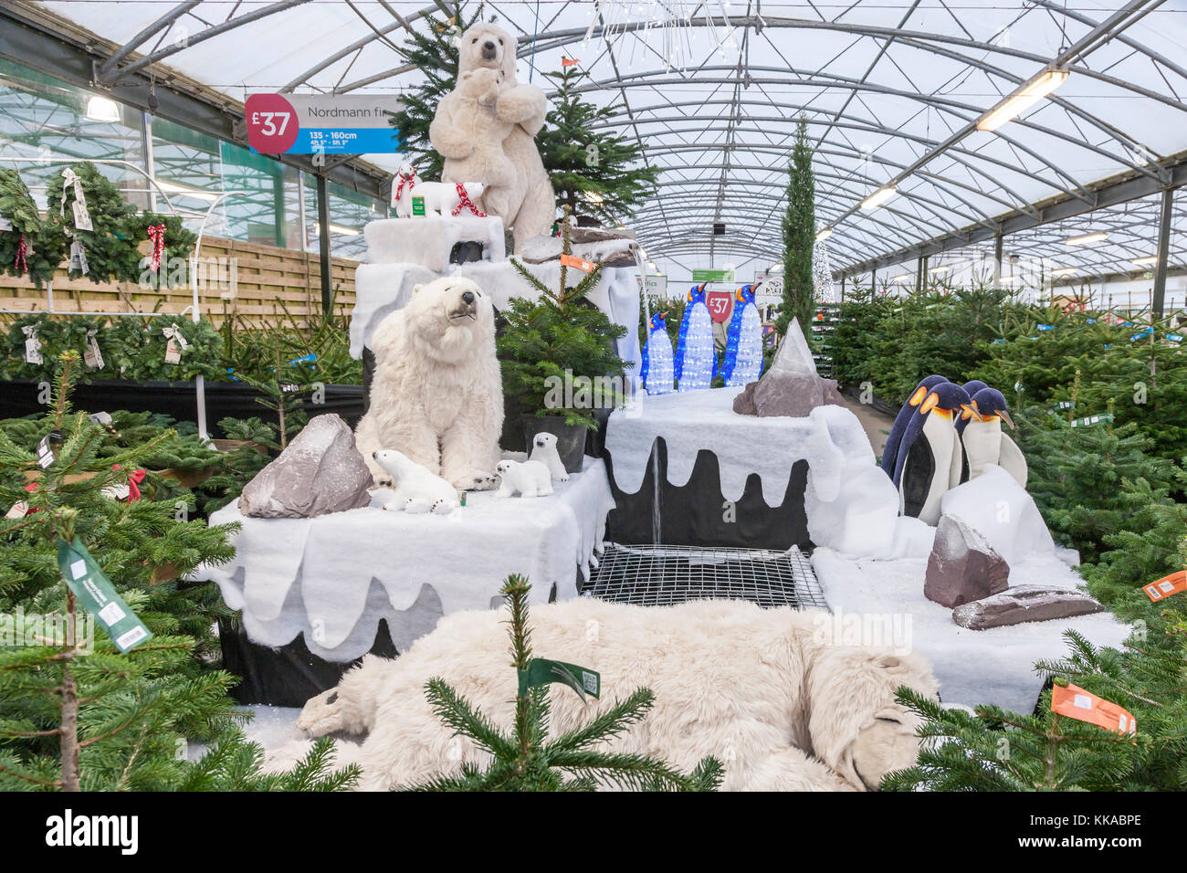 Wyevale garden centre hires stock photography and images Alamy