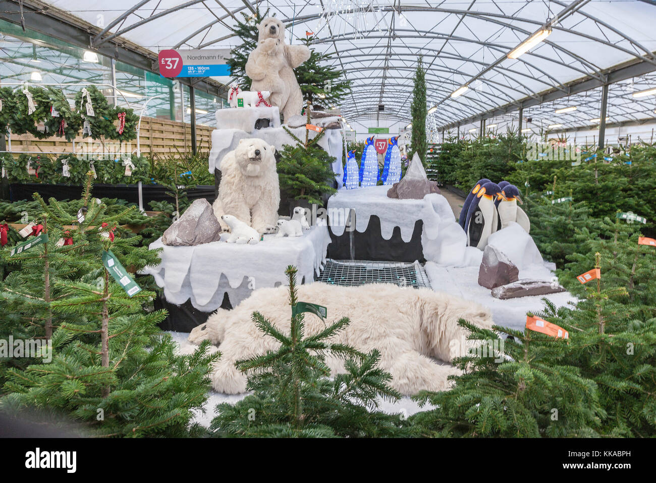 Wyevale garden centre hires stock photography and images Alamy