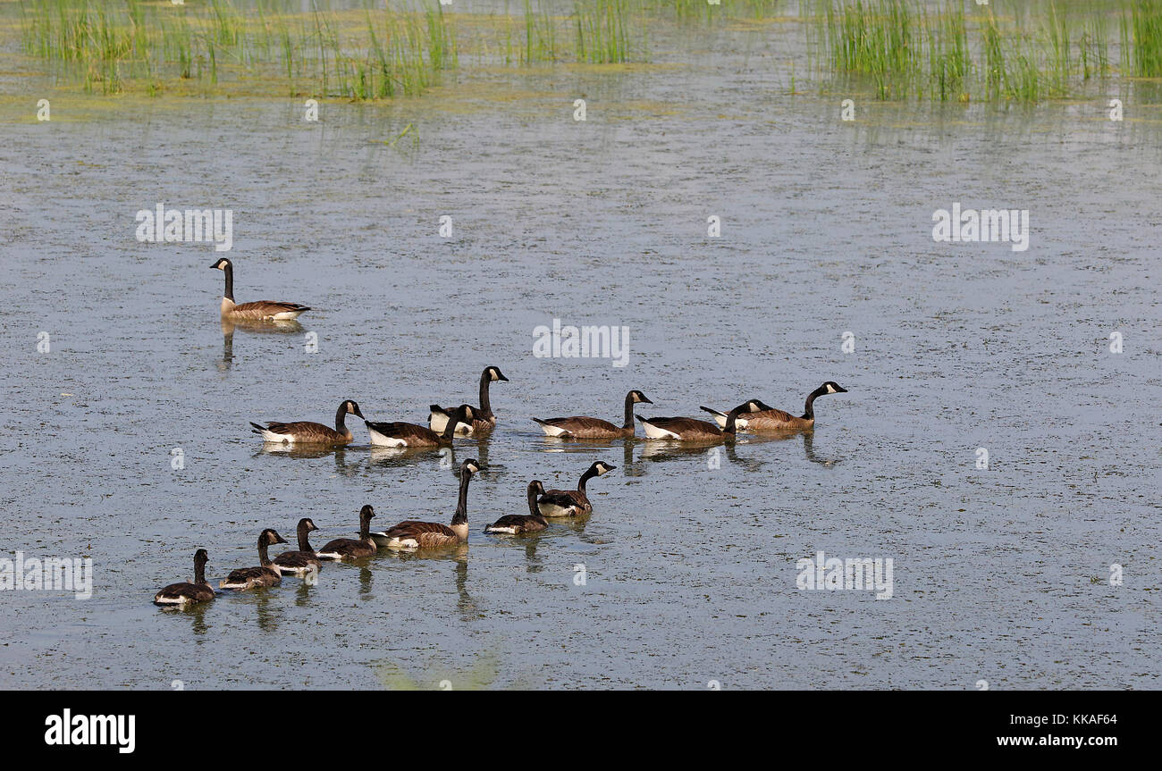 John deere dubuque works hi-res stock photography and images - Alamy