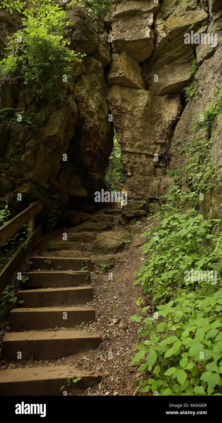 Bagley, Iowa, USA. 8th June, 2017. Bluff Trail in Wyalusing State Park