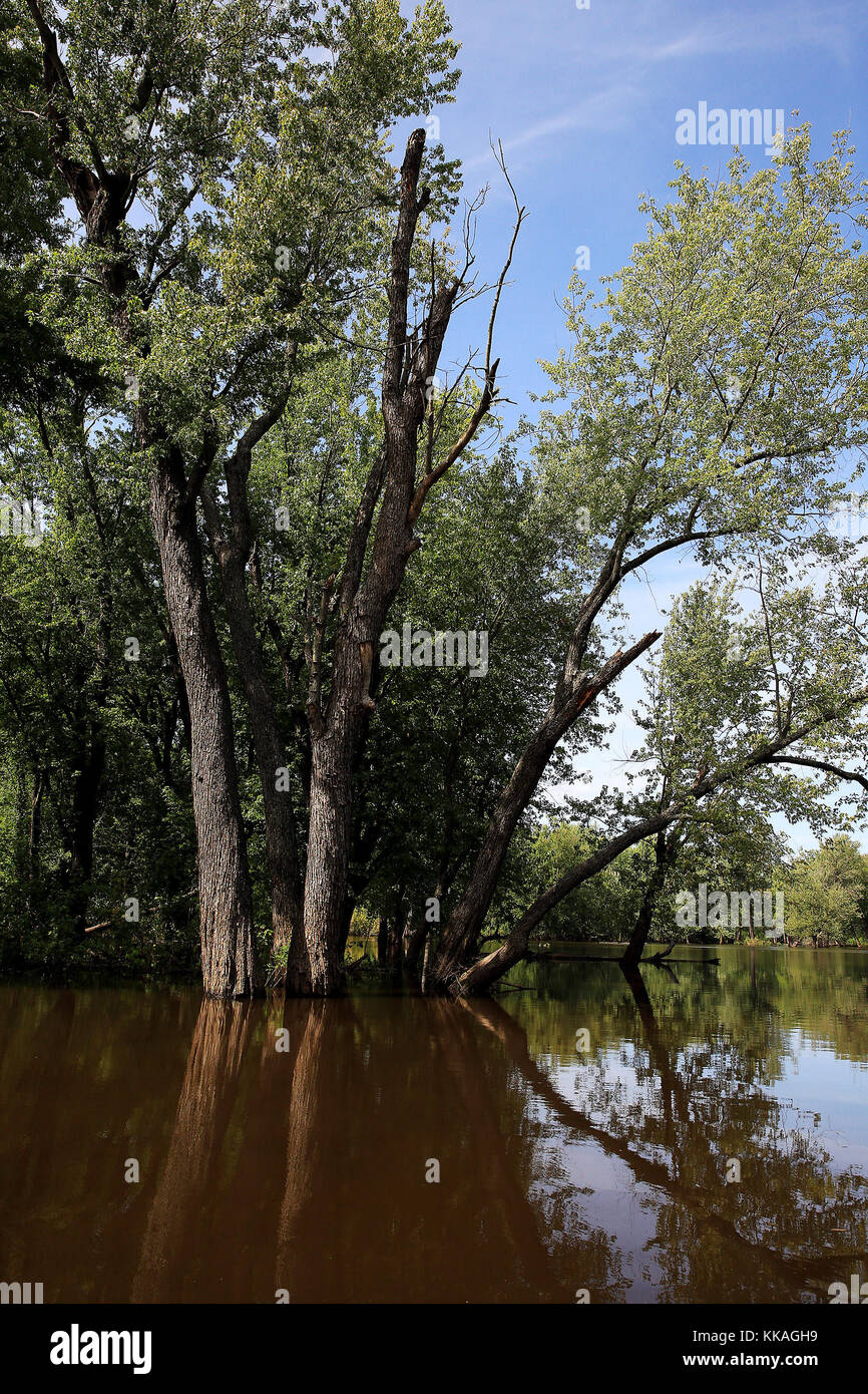 Wyalusing State Park. 27th June, 2017. Bagley, Iowa, U.S. - Accessible from the boat landing at Wyalusing State Park The Mississippi and Wisconsin river backwaters offer excellent fishing for panfish, bass, northern pike, and walleye. Credit: Kevin E. Schmidt/Quad-City Times/ZUMA Wire/Alamy Live News Stock Photo
