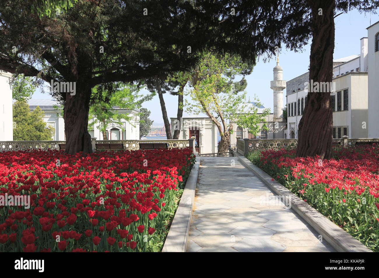 Tulip Garden, Fourth Courtyard, Topkapi Palace, UNESCO World Heritage Site, Istanbul, Turkey, Europe Stock Photo