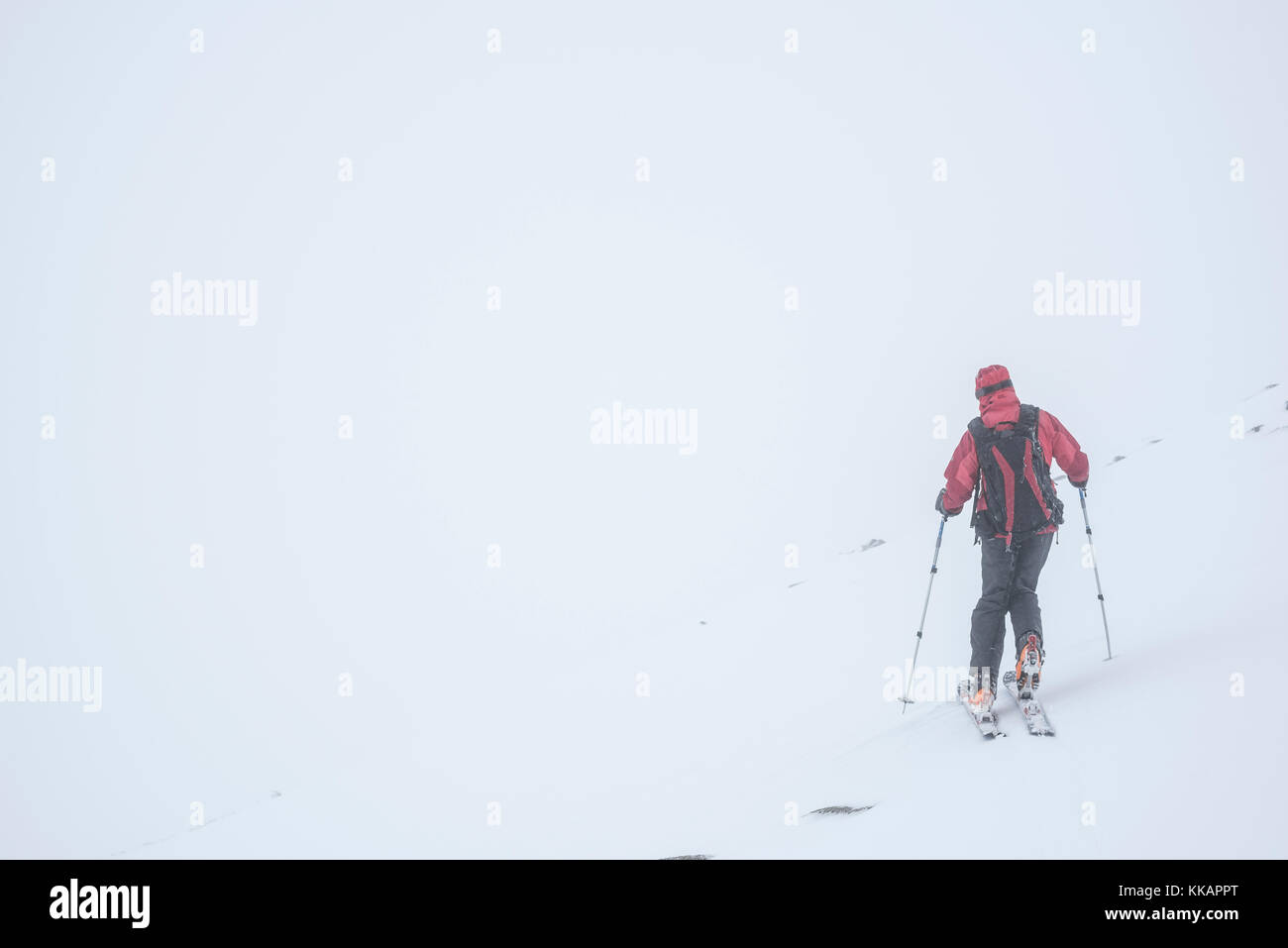Ski touring in a snow blizzard white out at CairnGorm Mountain Ski Resort, Cairngorms National Park, Scotland, United Kingdom, Europe Stock Photo