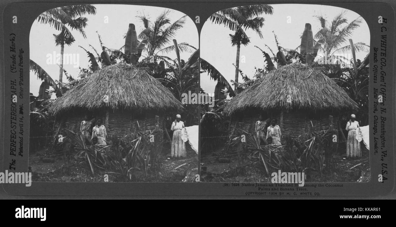 Native Jamaican thatched hut among the Cocoanut Palms and Banana Trees, Jamaica, 1904. From the New York Public Library. Stock Photo