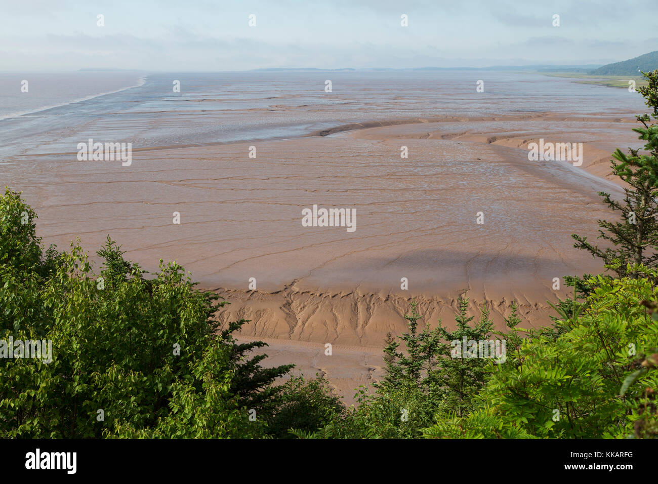 Mudflats, seen from Hopewell Rocks, on the Bay of Fundy, the location of the highest tides in the world, New Brunswick, Canada, North America Stock Photo