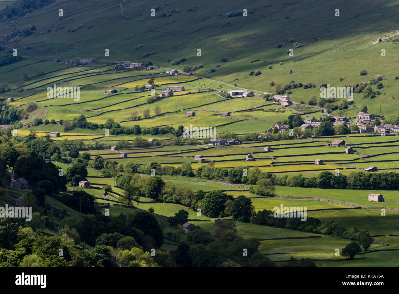 View of stone barns and traditional meadows, Gunnerside, Swaledale, Yorkshire Dales National Park, North Yorkshire, England, United Kingdom, Europe Stock Photo
