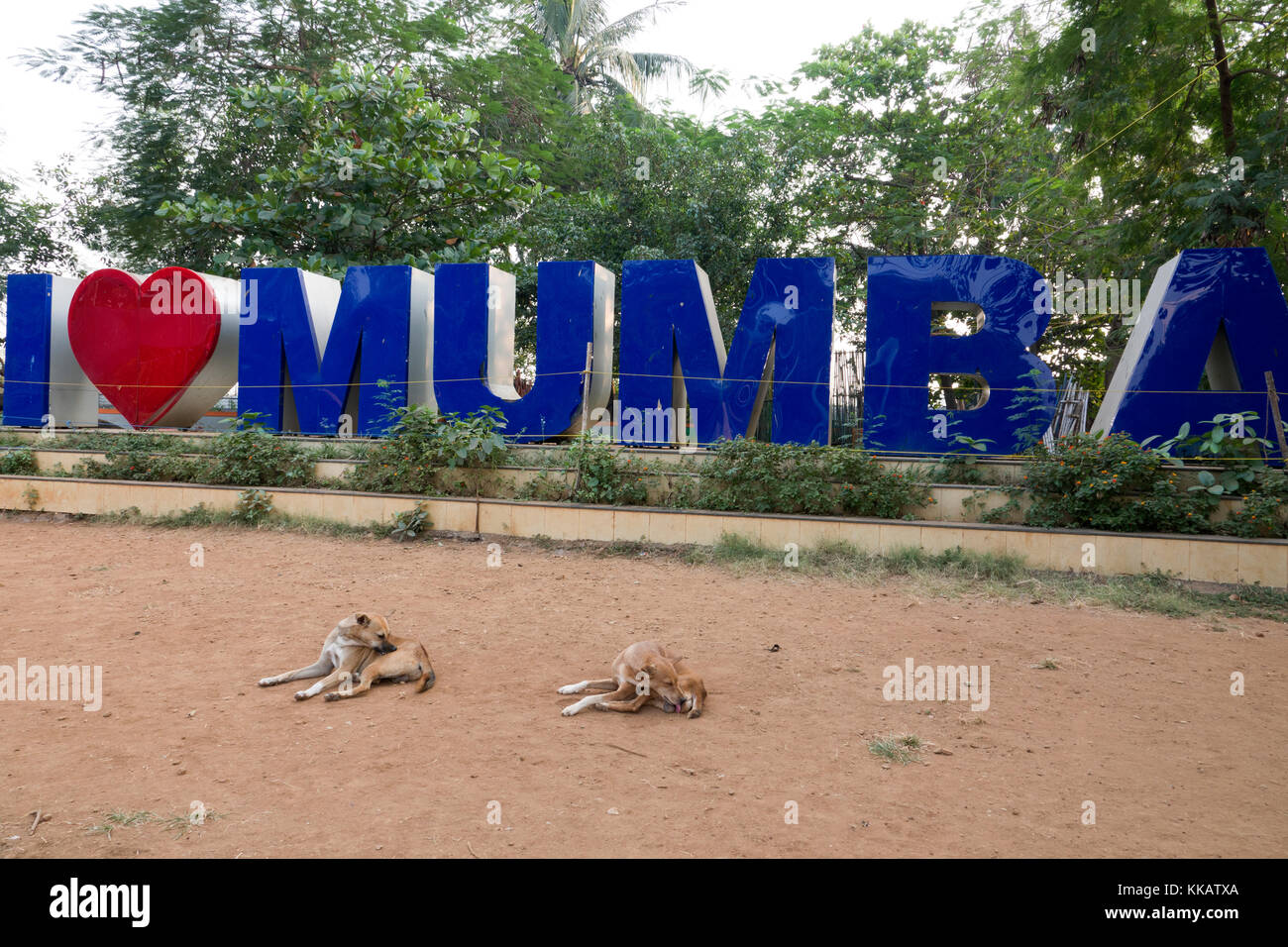 Street dogs rest in front of I love Mumbai sign in Juhu, Mumbai, India Stock Photo