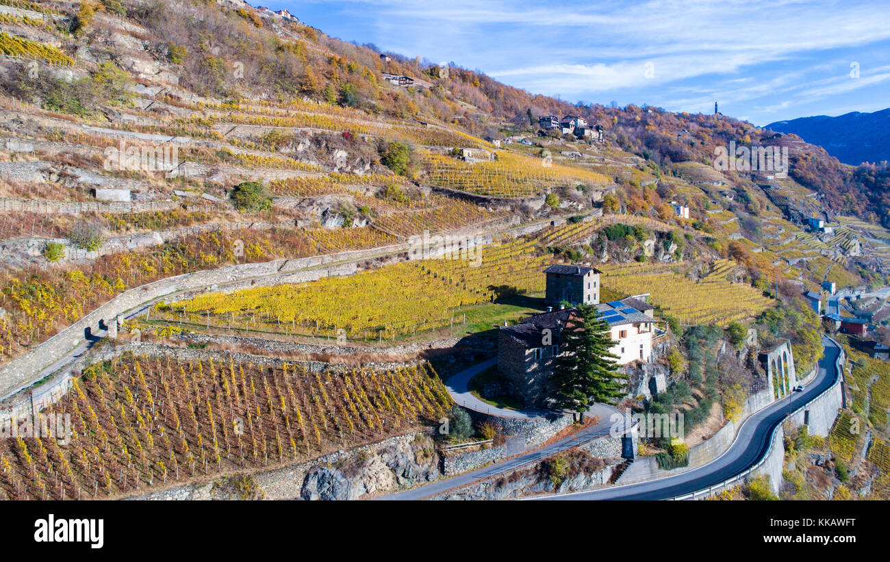 House and vineyard in Valtellina, province of Sondrio Stock Photo
