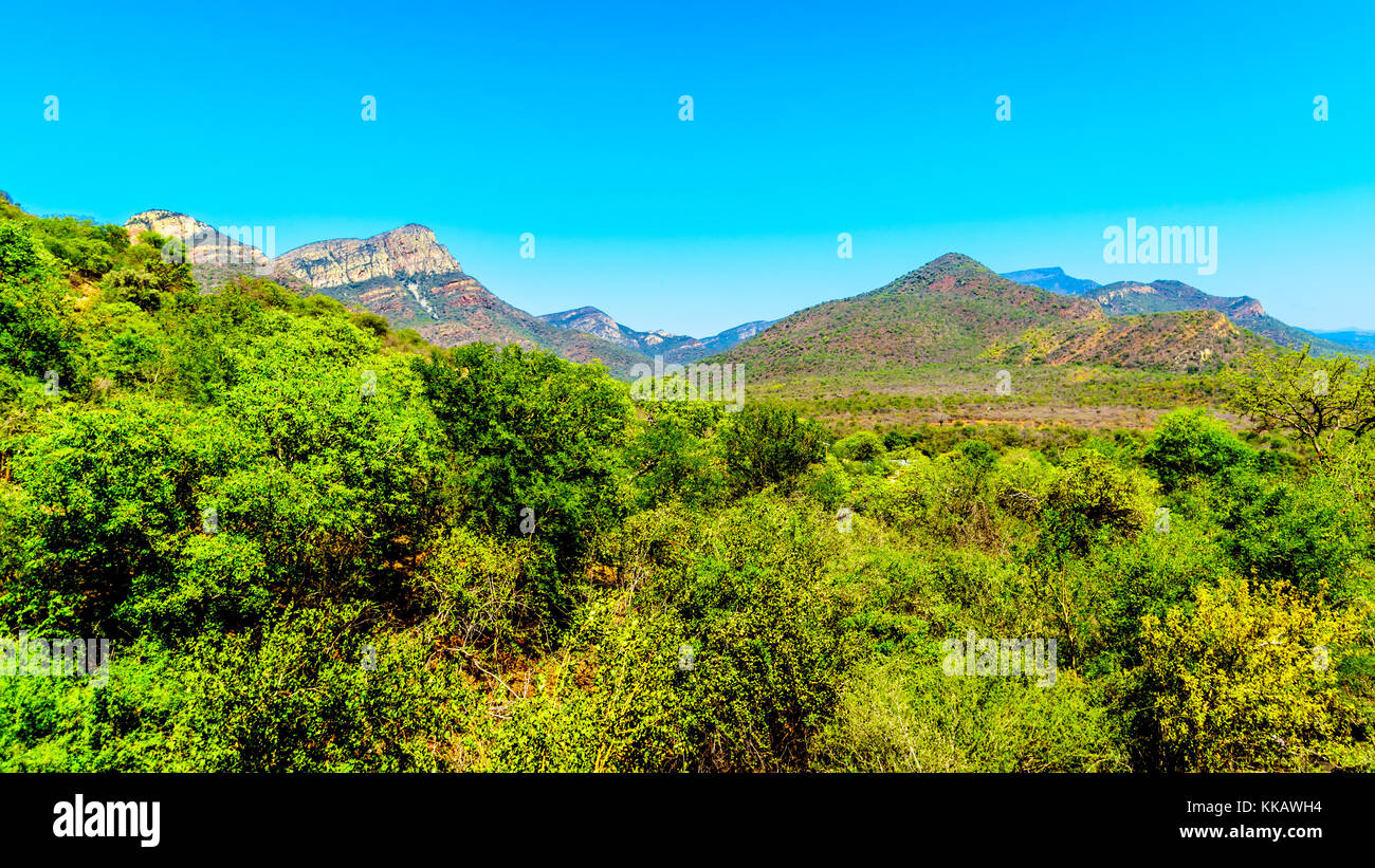 Forests and Mountains along the Panorama Route in Mpumalanga Province of South Africa Stock Photo