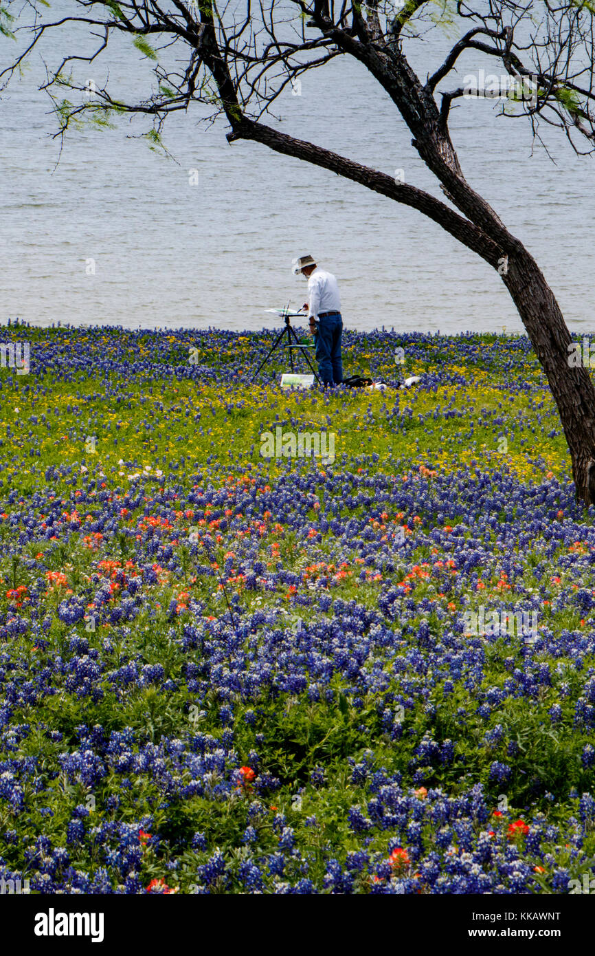Castilleja, Ennis, Lake Bardwell, Lupinus texensis, Meadow View Nature