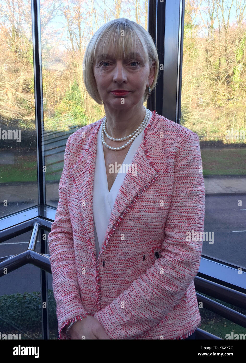 Victims Commissioner Judith Thompson at the Stormont Hotel in Belfast, who has said that victims from across the spectrum in Northern Ireland are united in opposition to a proposed amnesty for security force members who served during the Troubles. Stock Photo