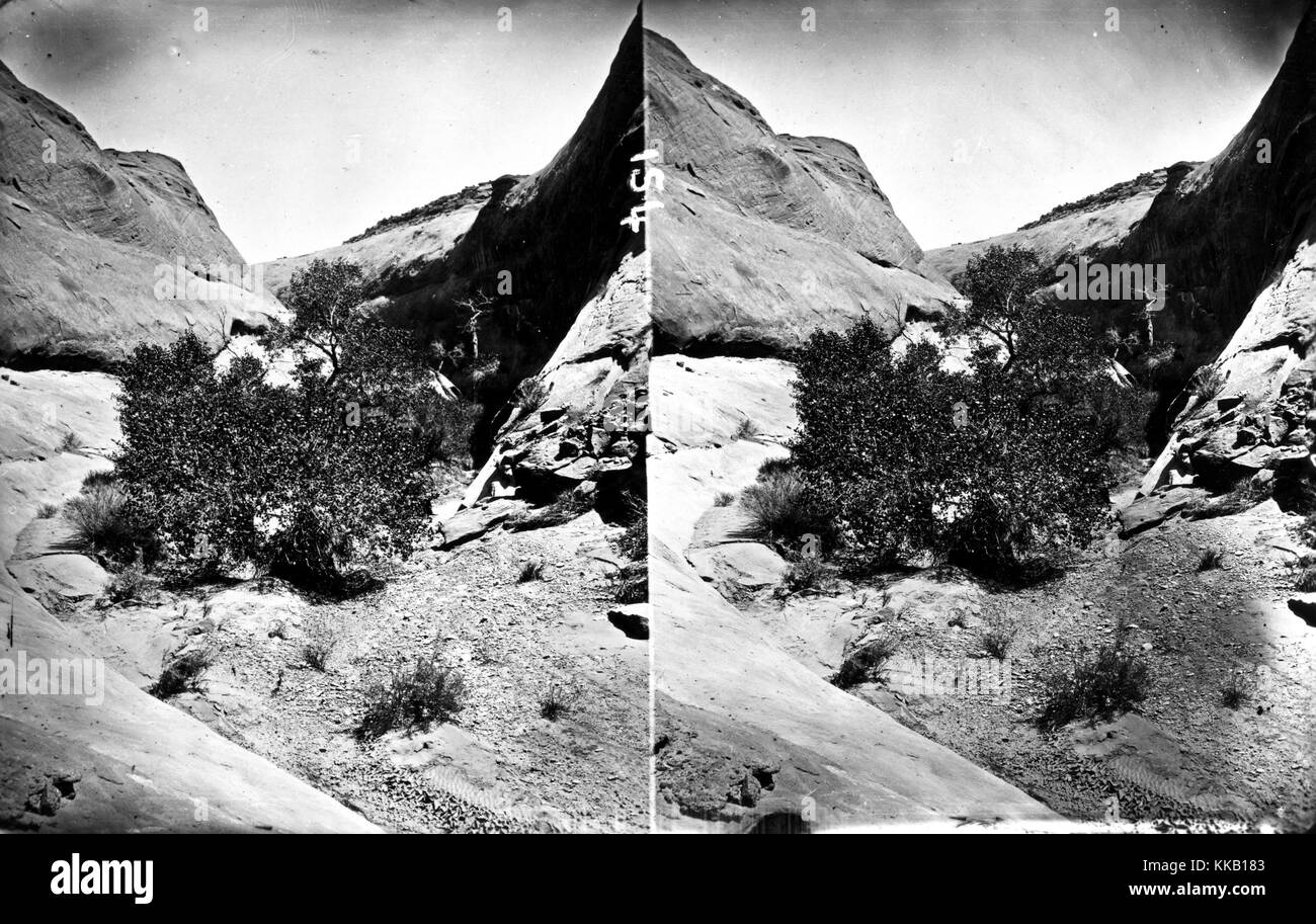 Stereograph showing the landscape of a side ravine in Glen Canyon, Utah