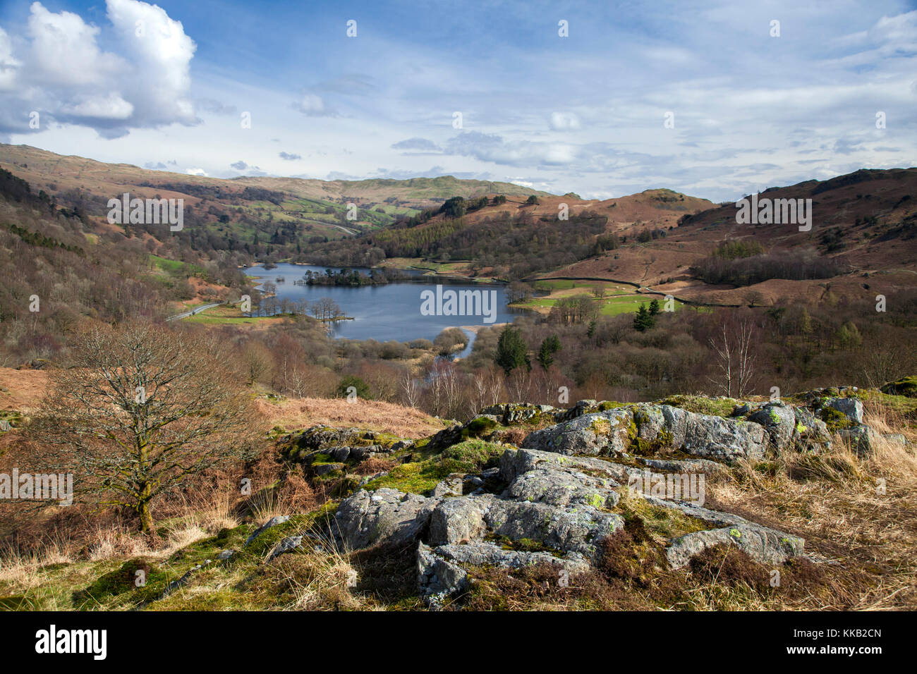 Rydal Water from White Moss Common Lake District national park Cumbria Stock Photo