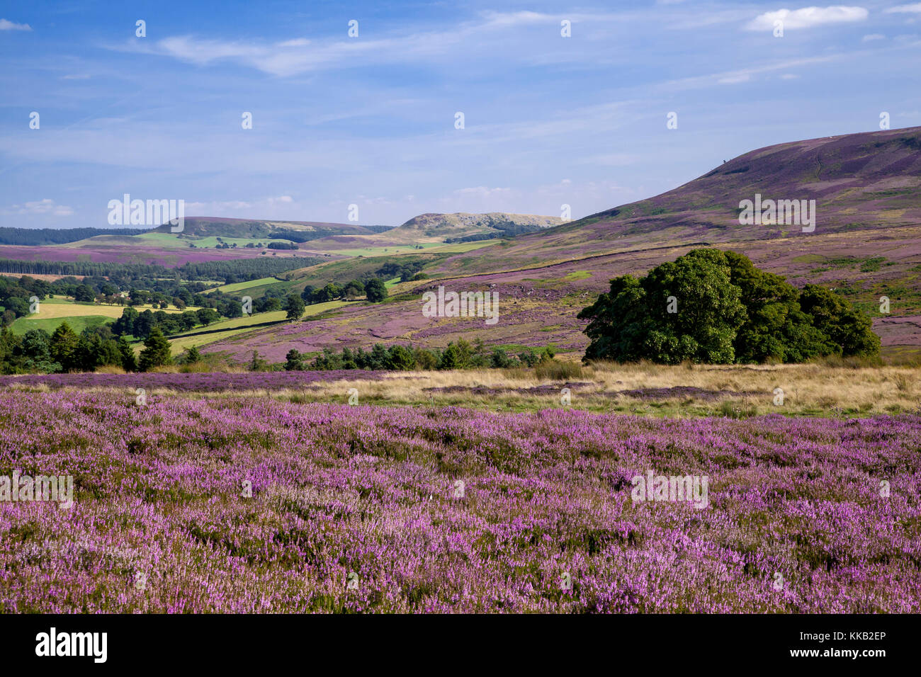 Distant Easterside and Hawnby Hill from Locker Low Moor North York Moors national park North Yorkshire Stock Photo