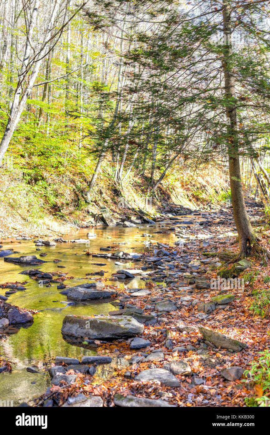 East Fork Greenbrier River creek in West Virginia during colorful