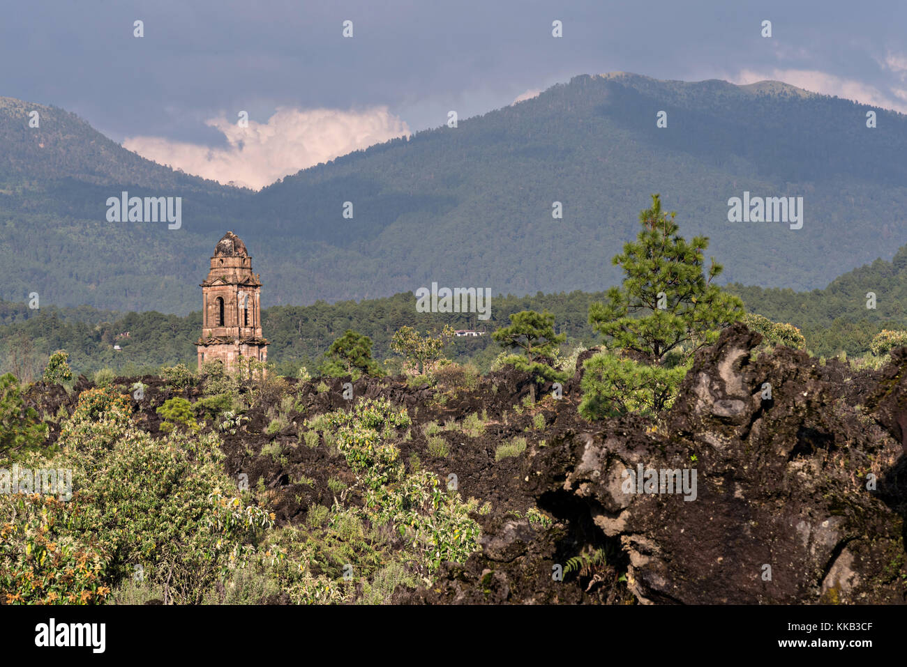 The steeple of San Juan Parangaricutiro church pokes up out of a sea of dried lava rock in the remote village of San Juan Parangaricutiro, Michoacan, Mexico. This church is the only remaining structure left buried in the eight-year eruption of the Paricutin volcano which consumed two villages in 1943 and covered the region in lava and ash. Stock Photo