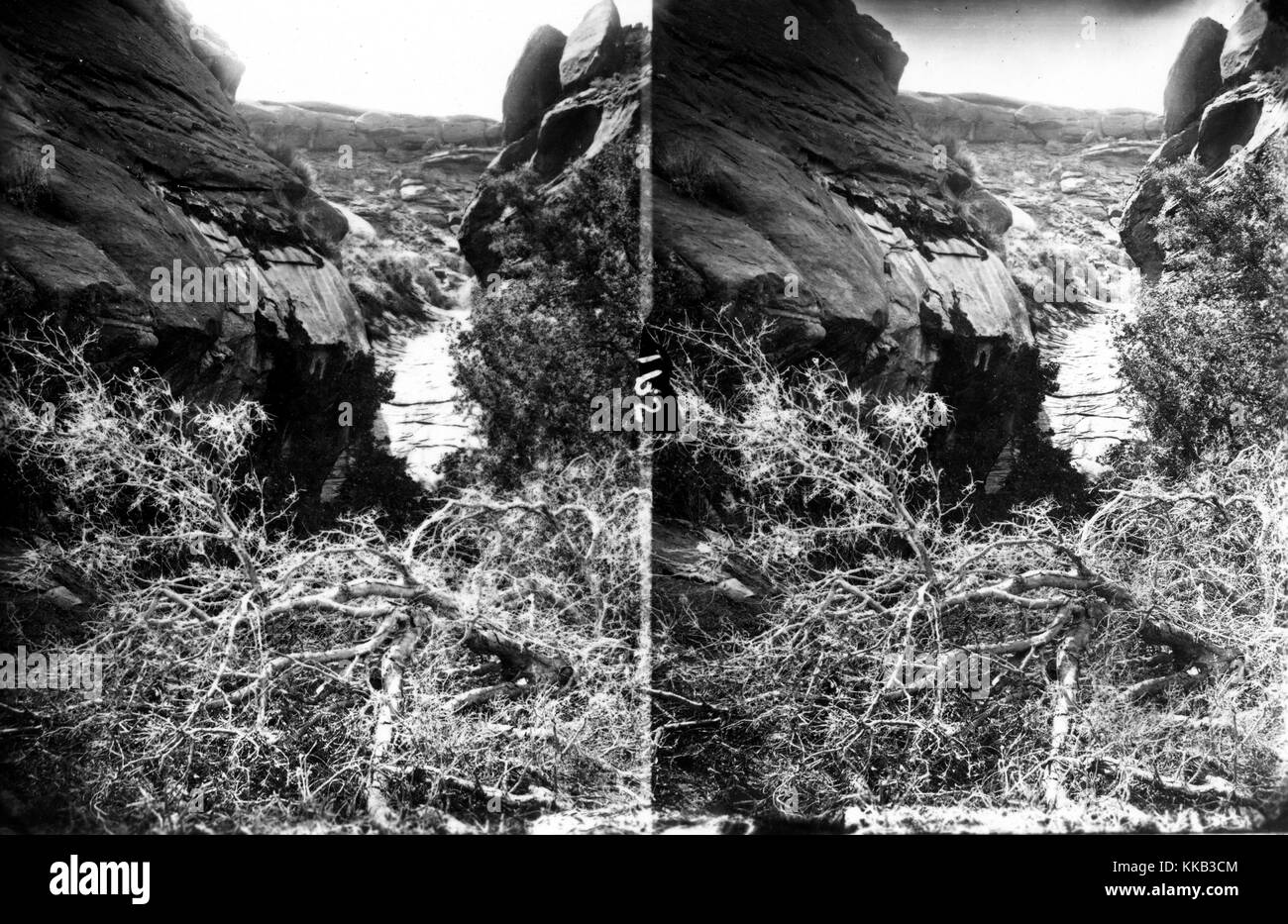 Stereograph providing a view of Glen Canyon from an elevated position