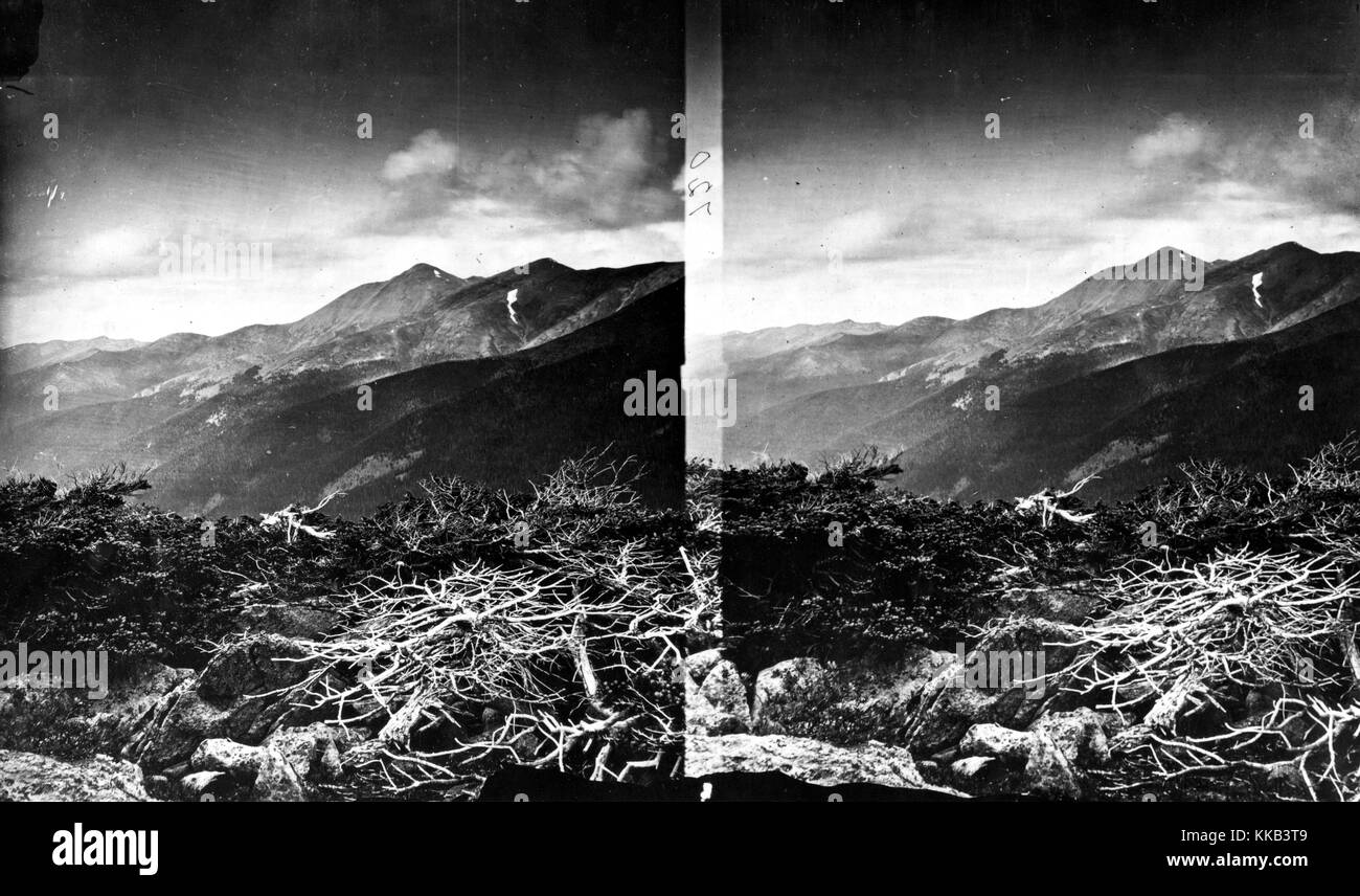 Stereograph of Berthoud Pass looking north, Grand County, Colorado