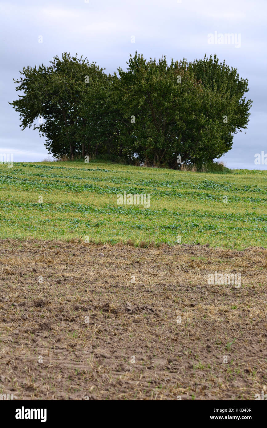 Habitats directive area in Mecklenburg-Vorpommern, Germany. The name is Kleingewaesserlandschaft bei Doemitzow. Stock Photo