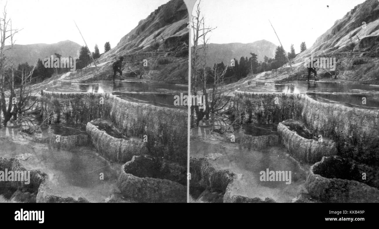 Stereograph of Mammoth Hot Springs in Yellowstone National Park