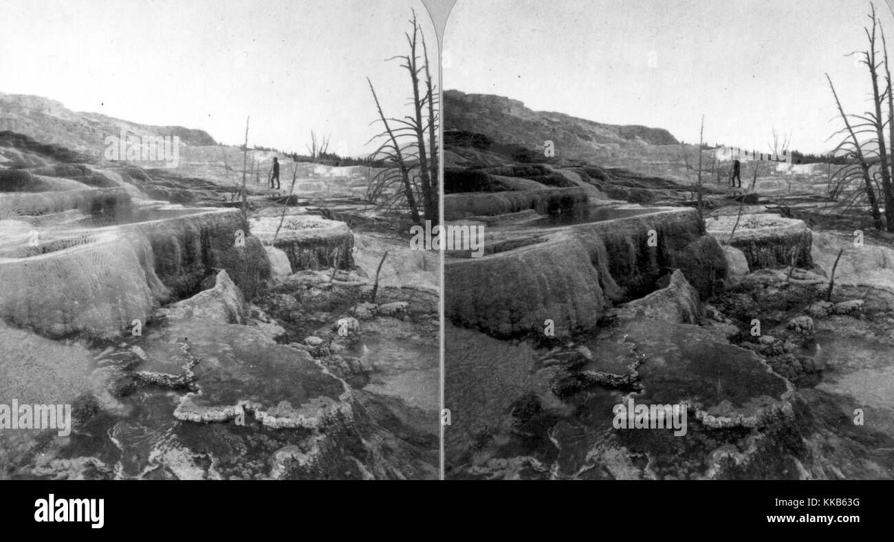 Stereograph of Mammoth Hot Springs in Yellowstone National Park