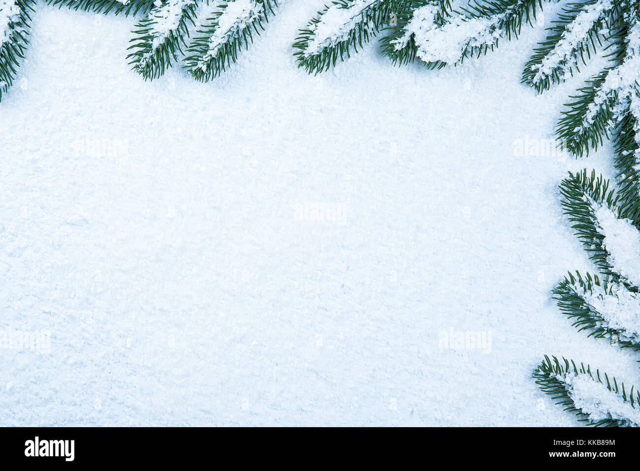 Christmas fir tree frame on white snow background. Free space Stock ...