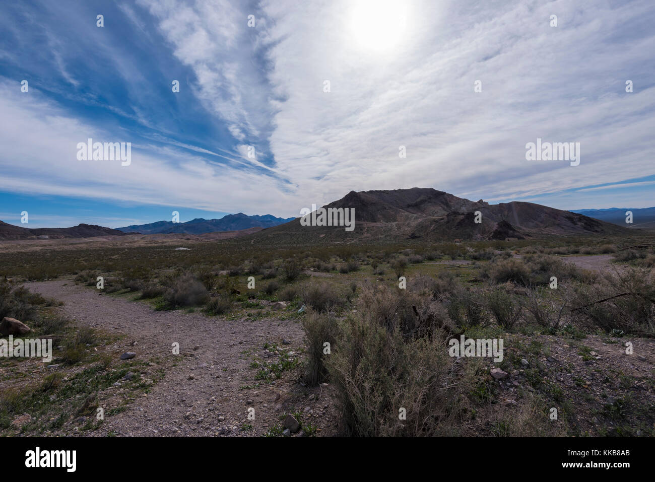 Death Valley wilderness, Nevada, USA Stock Photo Alamy