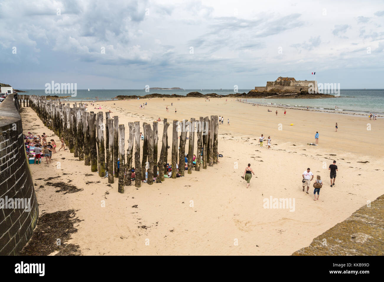 Saint-Malo beach with sea defence tree trunks, Brittany, France, Europe Stock Photo