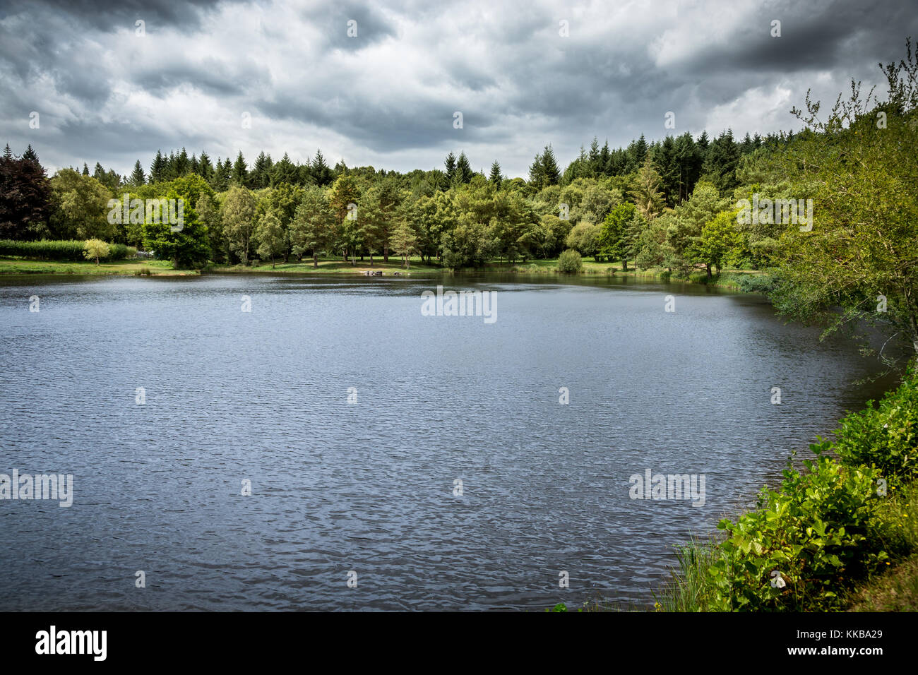 Lake in the Forest of Paimpont, France, Europe. Stock Photo