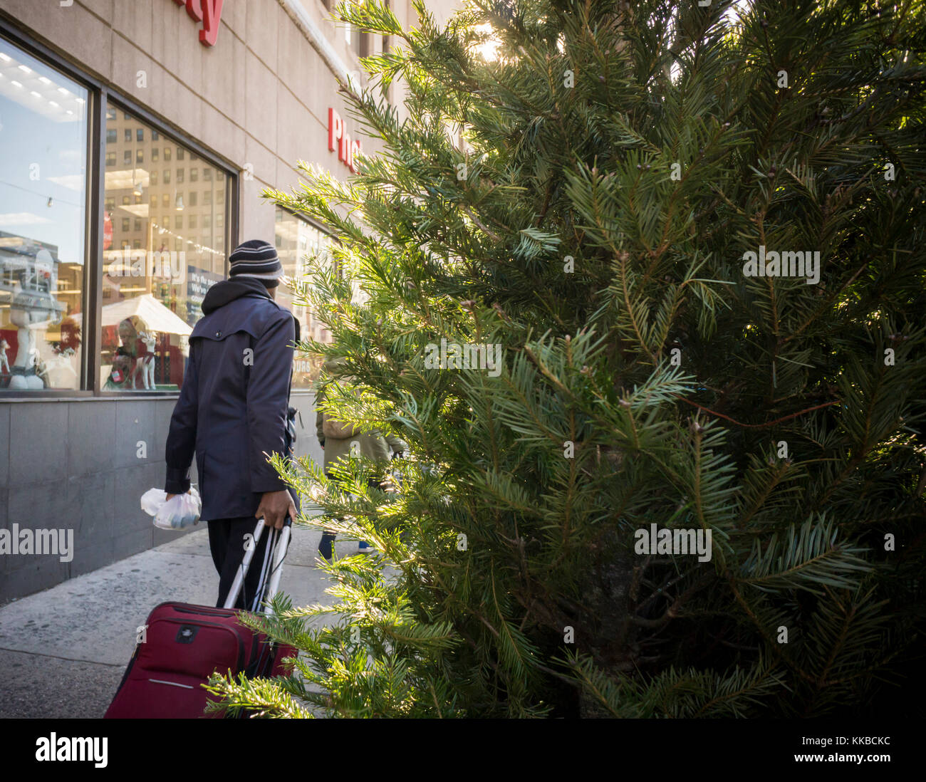 Pedestrians pass a Christmas tree seller in the Chelsea neighborhood of