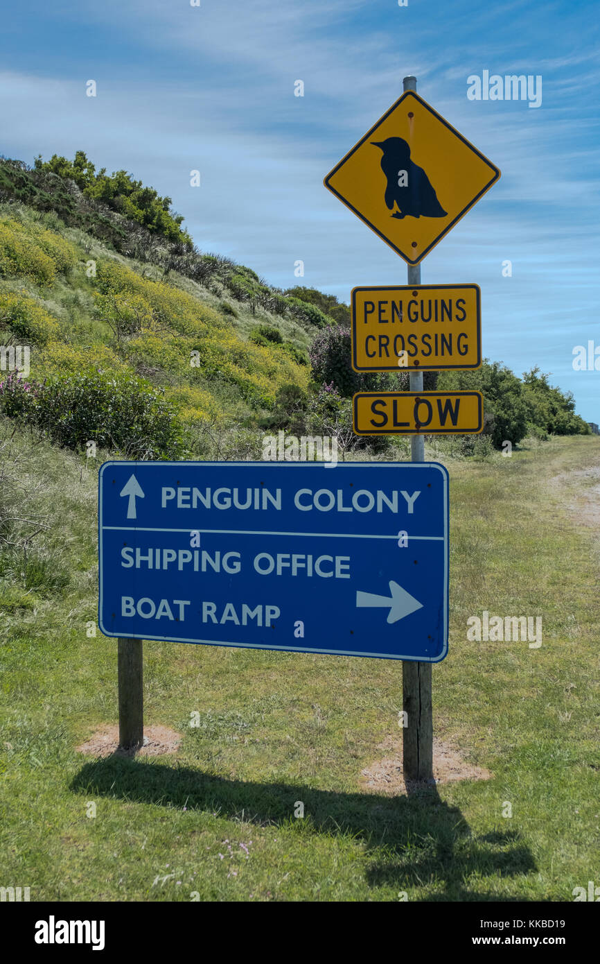 Grassy Harbour Penguin Colony, King Island, Tasmania Stock Photo Alamy