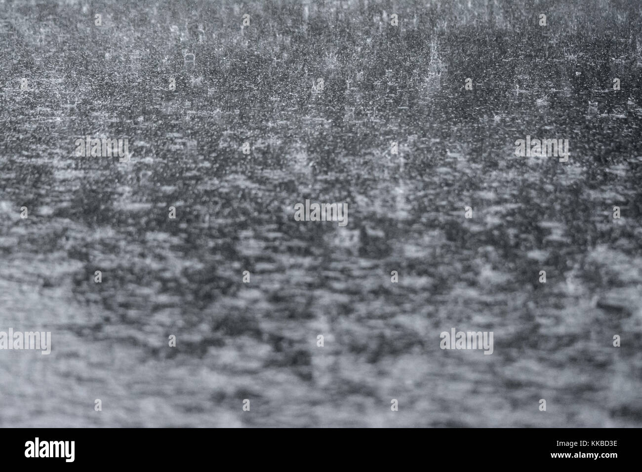 large raindrops falling on the road asphalt during a day of rain Stock Photo