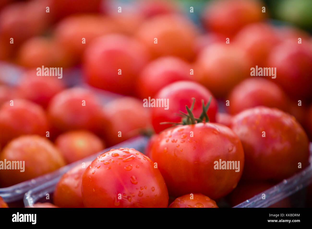 Farmers Market showing fresh field ripened tomatoes for sale. Stock Photo