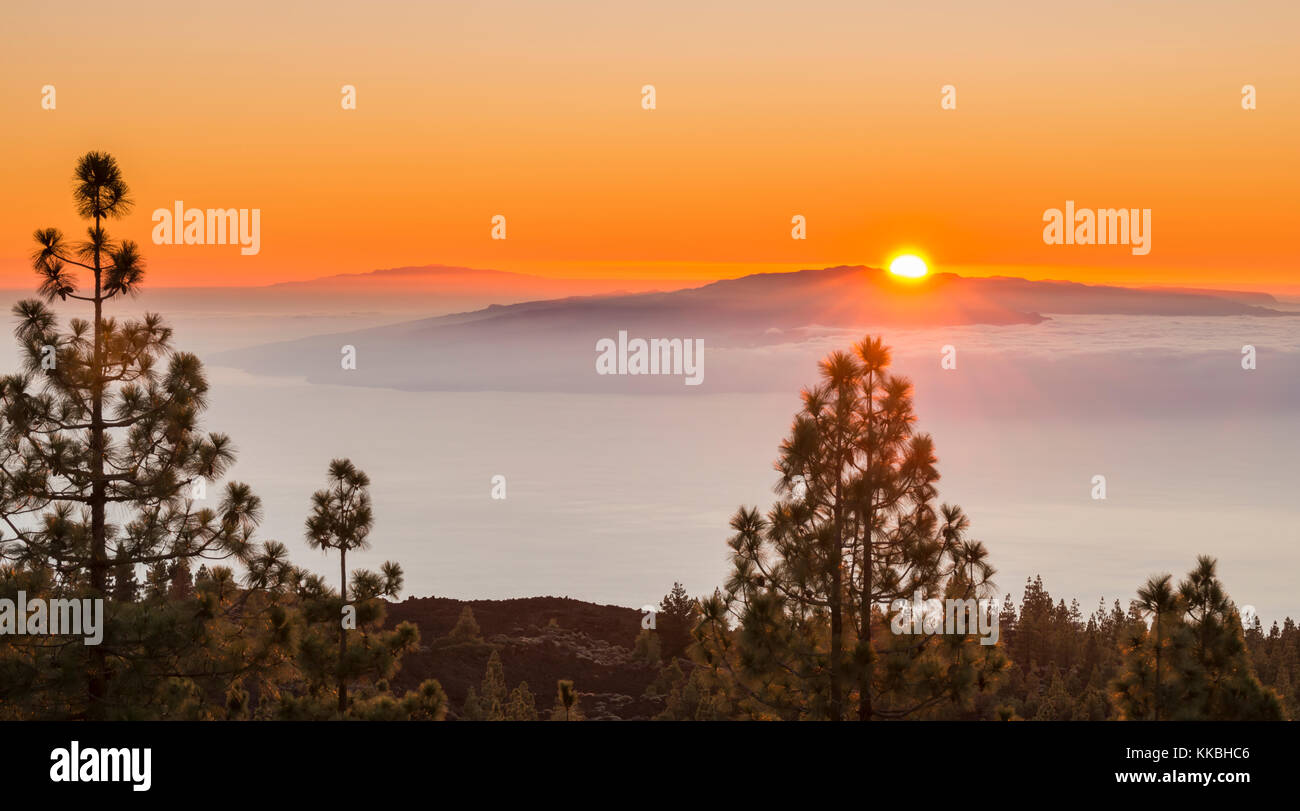 Peaceful sunset from the pine forest of Tenerife looking over the sea of clouds towards the islands of La Gomera and El Hierro (in the background) Stock Photo
