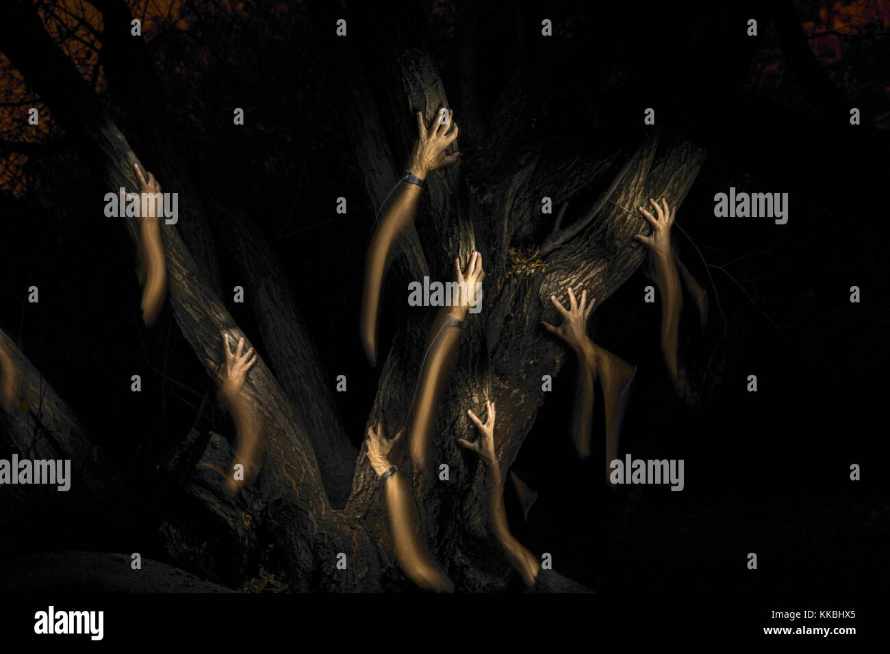 strange hands climbing up a tree in the dark Stock Photo - Alamy