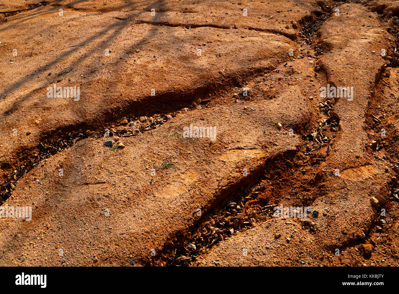 Abstract background of soil erosion, roadside slope. Soil furrowed by deep rain gullies. Stock Photo