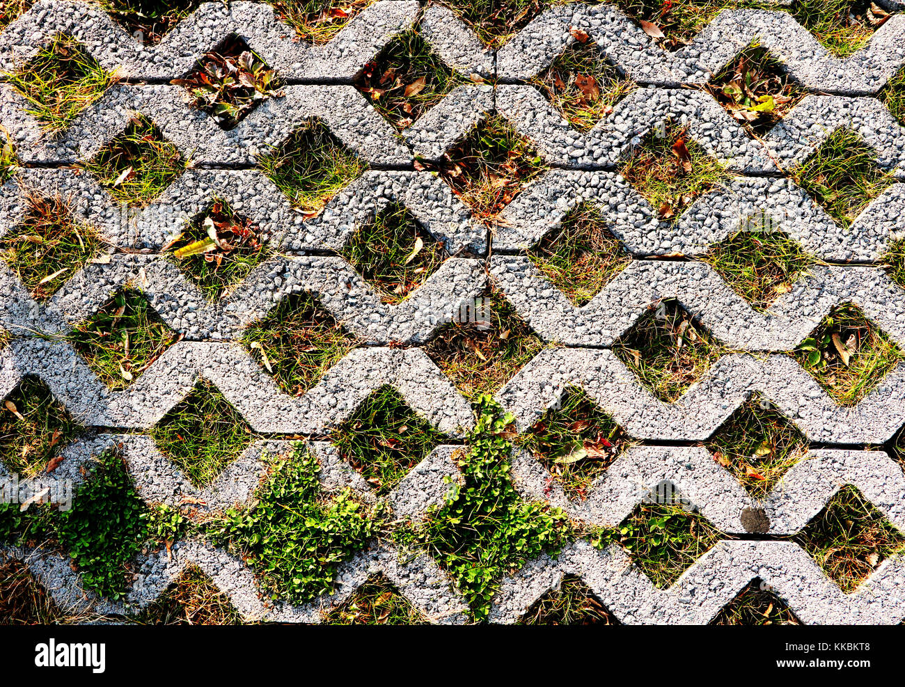Environmentally friendly green parking pattern of square cement floor tiles with green grass inside. Concrete square cells with living grass, can be u Stock Photo