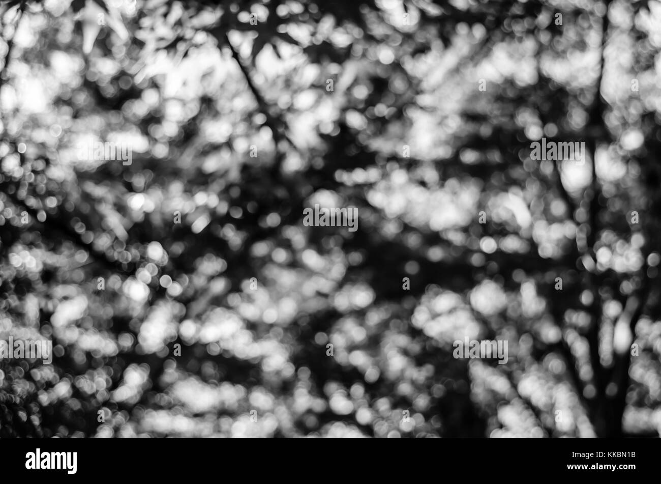 Blurred black and white abstract pattern background Stock Photo - Alamy