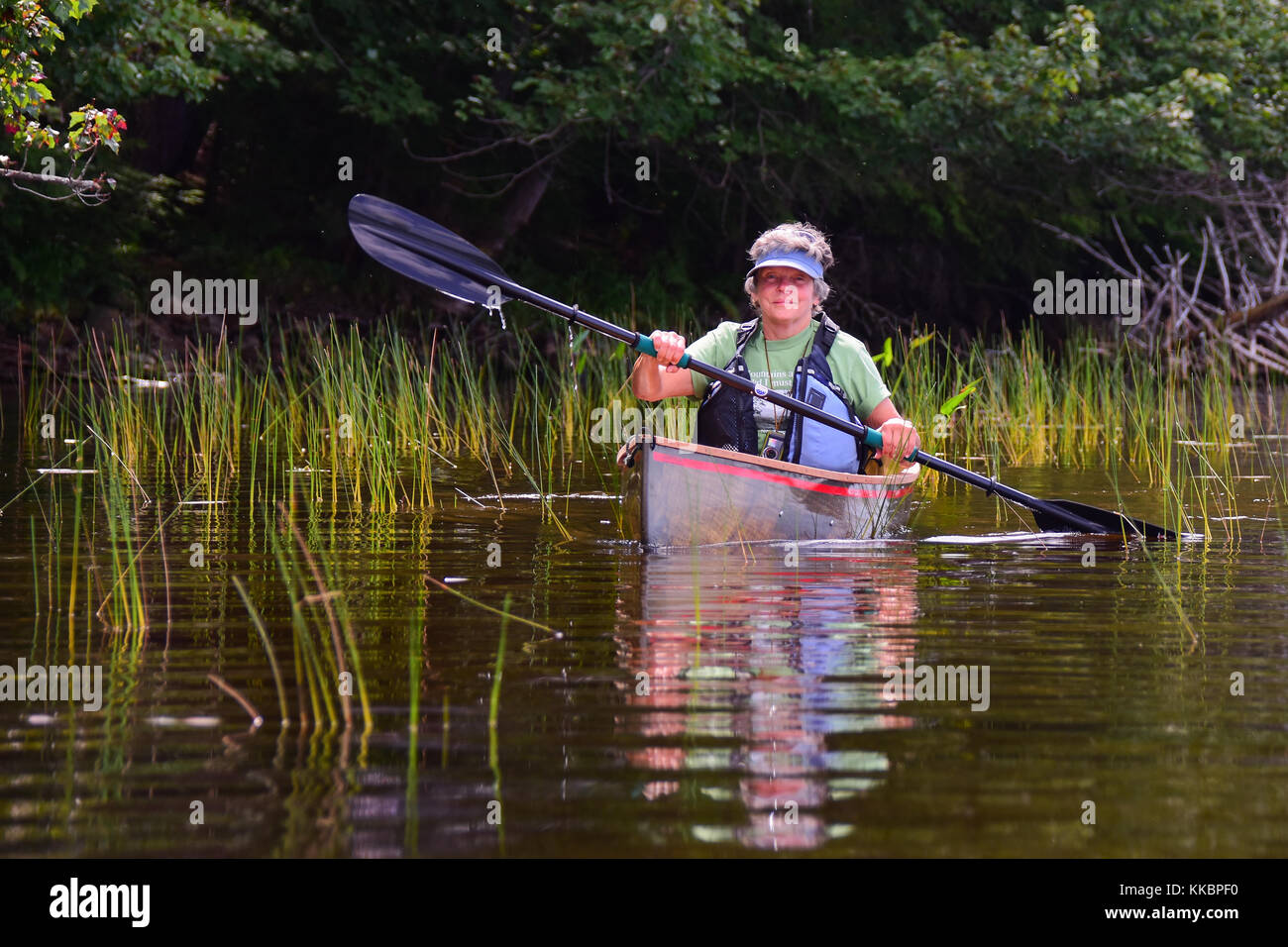 Mature woman paddling a canoe on a remote Adirondacks lake. Stock Photo