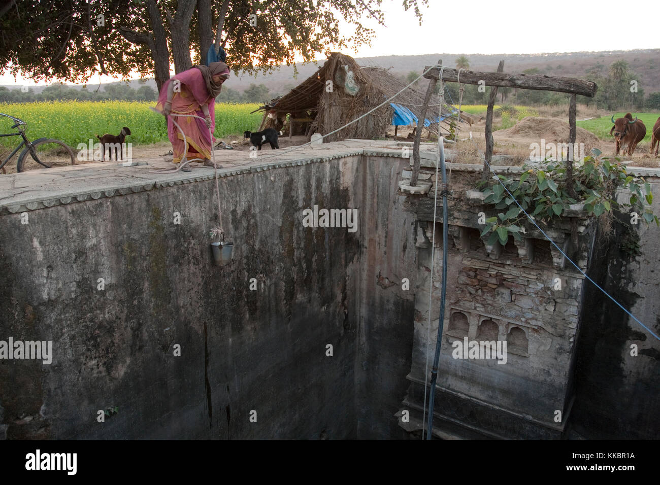 Woman collecting water in a bucket from a step well near Bijaipur, rural Rajasthan Stock Photo