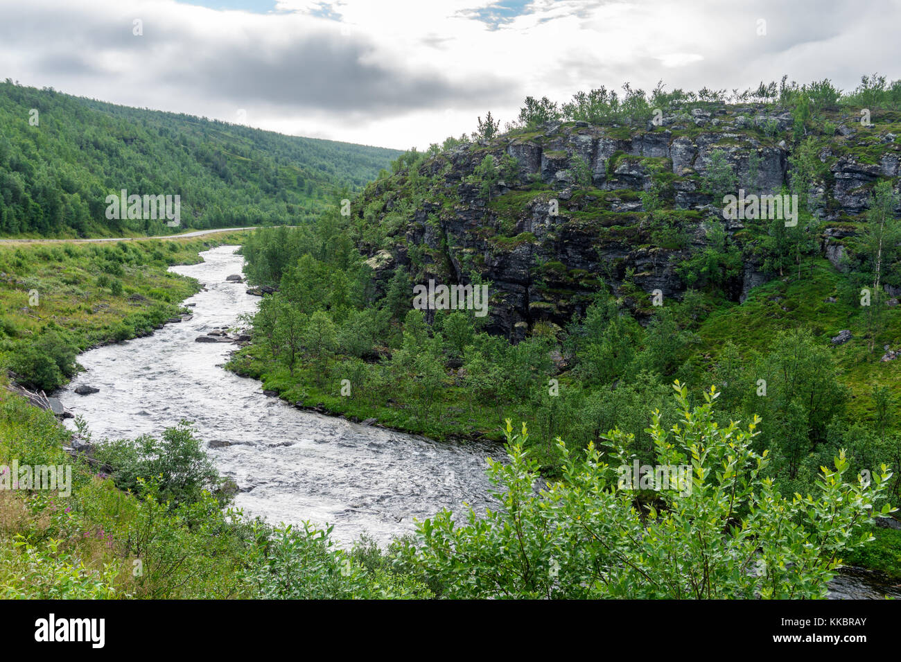 The characteristic landscape of the Arctic tundra. Low trees, shrubs